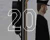 20