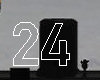 24